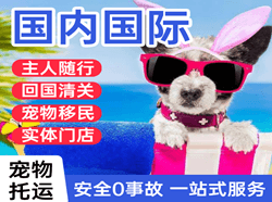 九江空运国际宠物托运 【国